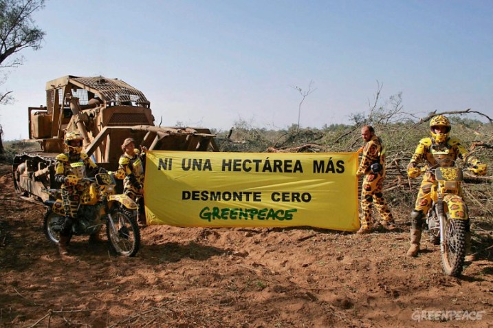 Jaguares de Greenpeace bloquean tres topadoras en la finca "Las