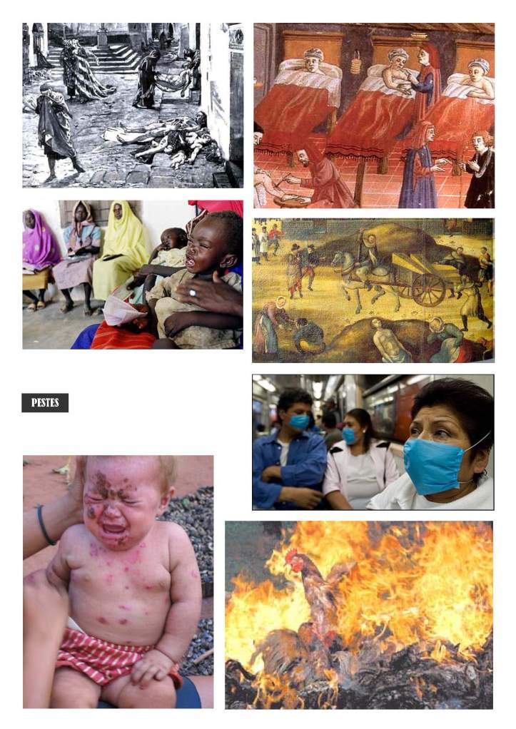 LA SOLIDARITAT... Nº 1 Introducció..._Página_27