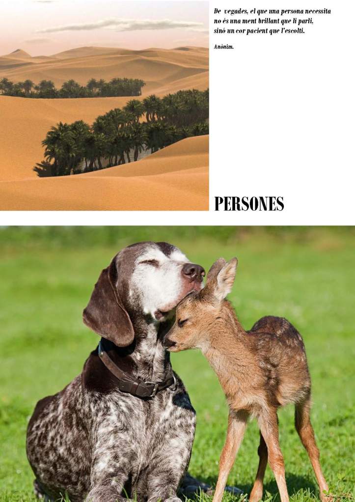 LA SOLIDARITAT... Nº 2 ONGs..._Página_30