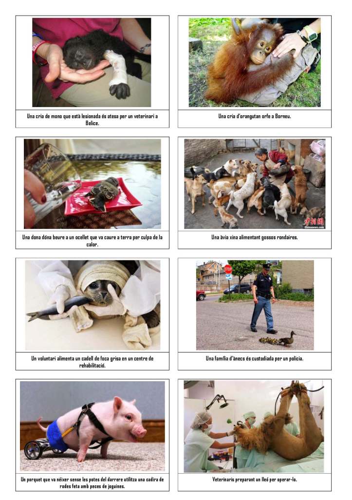 LA SOLIDARITAT... Nº 3 Altres solidaritats..._Página_28