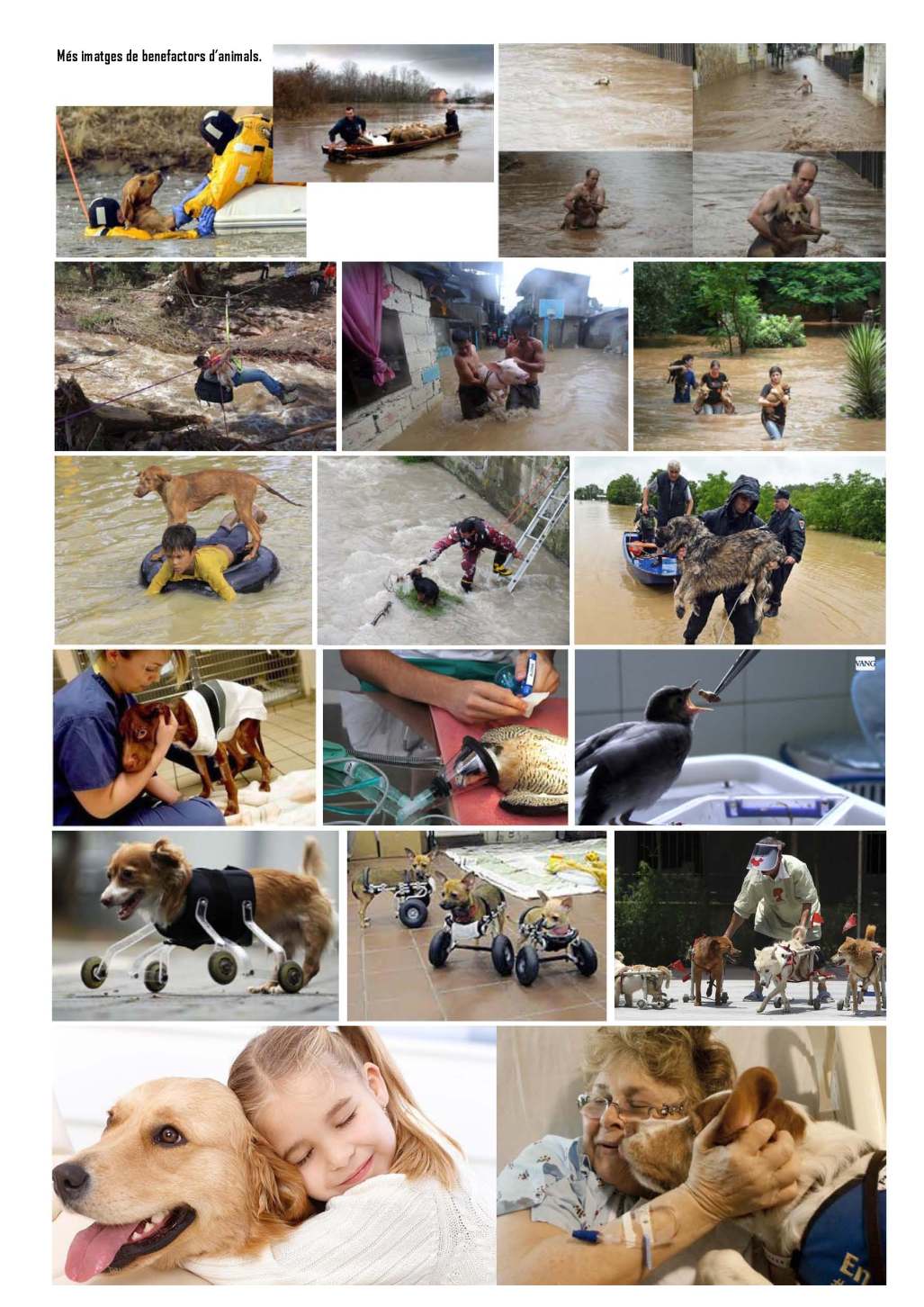 LA SOLIDARITAT... Nº 3 Altres solidaritats..._Página_29