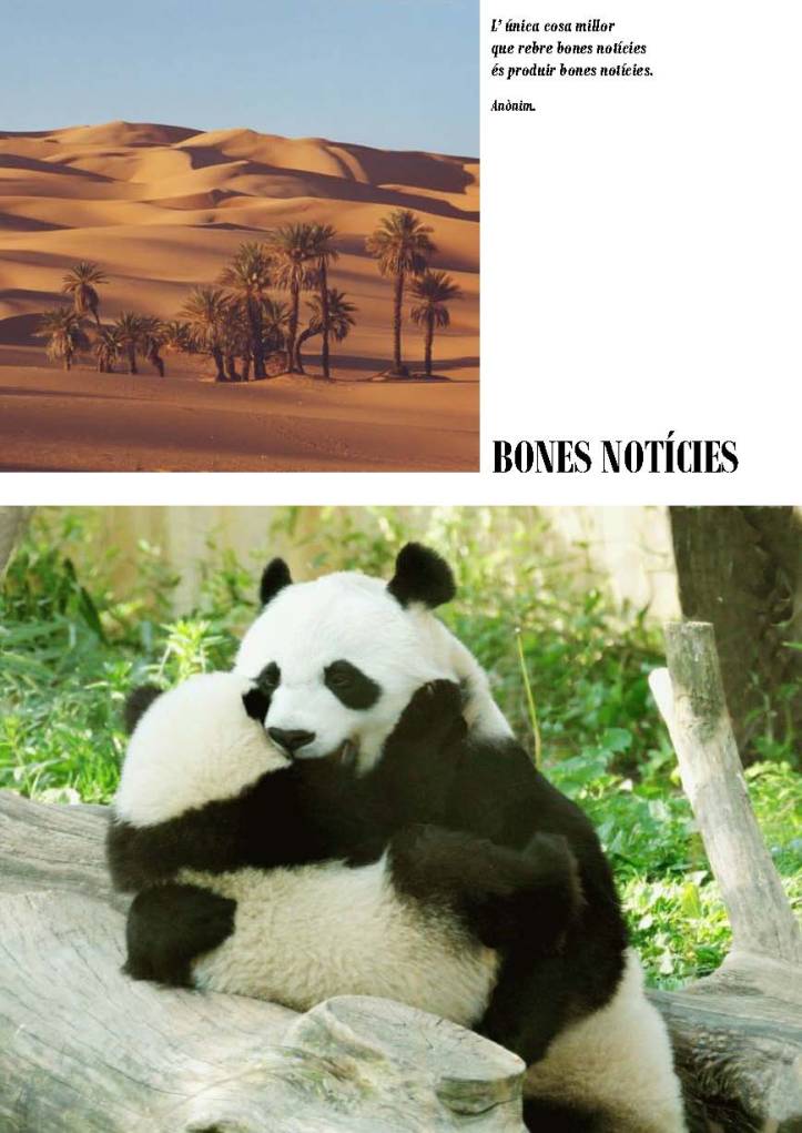 LA SOLIDARITAT... Nº 3 Altres solidaritats..._Página_34