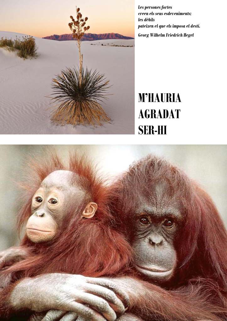 LA SOLIDARITAT... Nº 3 Altres solidaritats..._Página_44