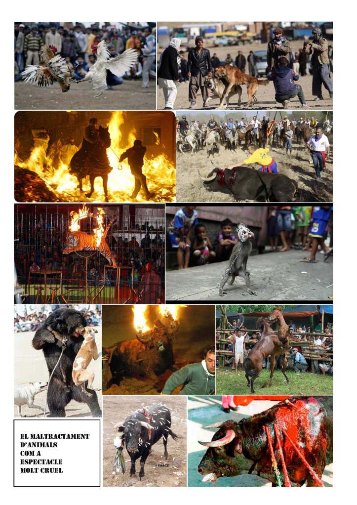 LA SOLIDARITAT... Nº 4 Drets universals..._Página_16