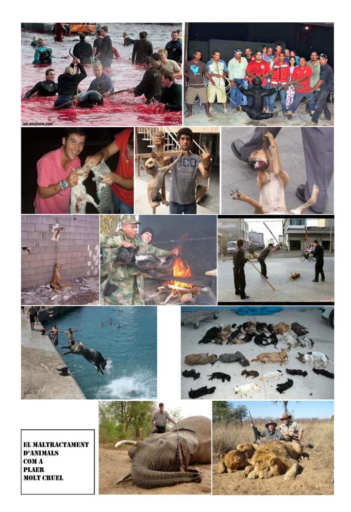 LA SOLIDARITAT... Nº 4 Drets universals..._Página_17