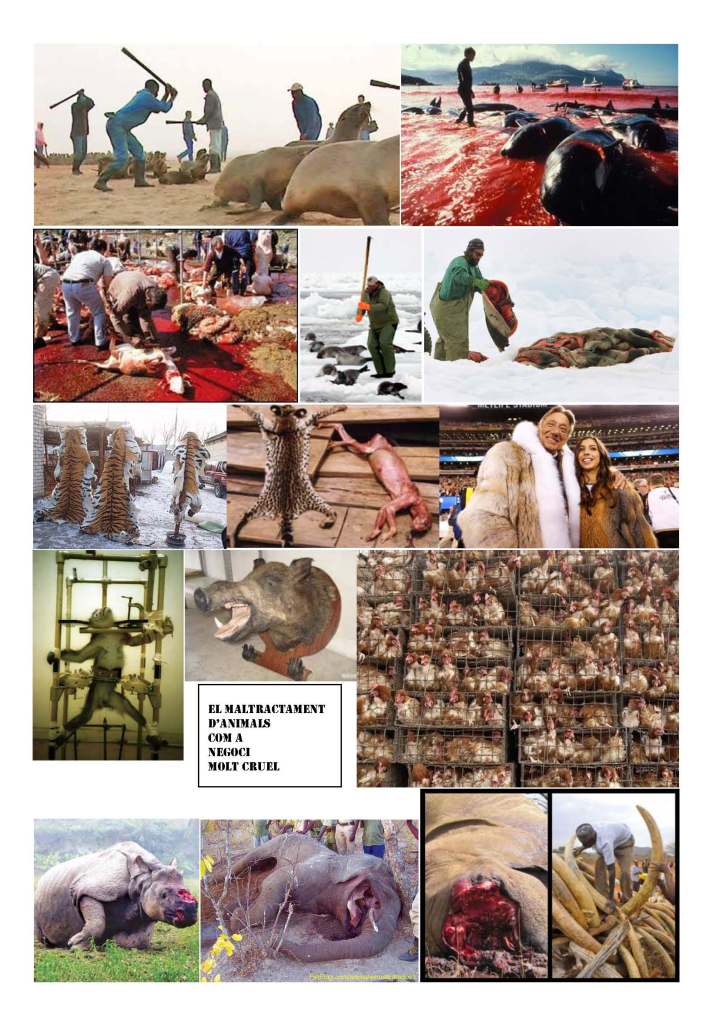 LA SOLIDARITAT... Nº 4 Drets universals..._Página_18