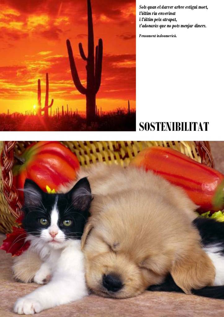 LA SOLIDARITAT... Nº 4 Drets universals..._Página_19