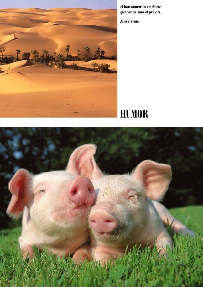 LA SOLIDARITAT... Nº 4 Drets universals..._Página_34