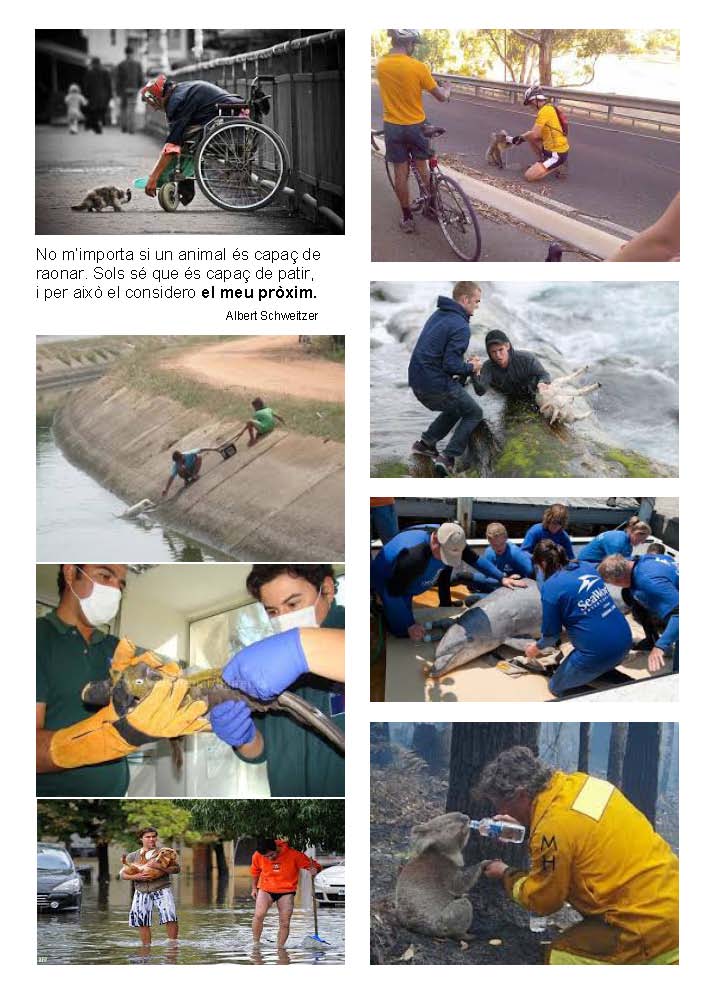 LA SOLIDARITAT... Nº 5 Recomanacions..._Página_55