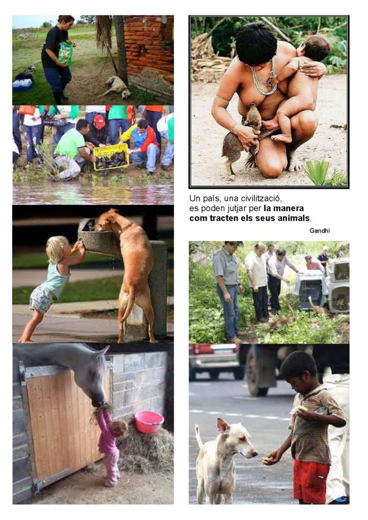 LA SOLIDARITAT... Nº 5 Recomanacions..._Página_56