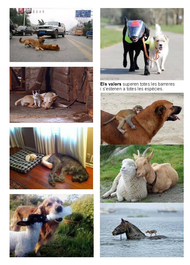 LA SOLIDARITAT... Nº 5 Recomanacions..._Página_57