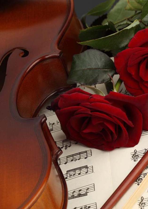 LA SOLIDARITAT... Nº 8 Lletres de cançons..._Página_68